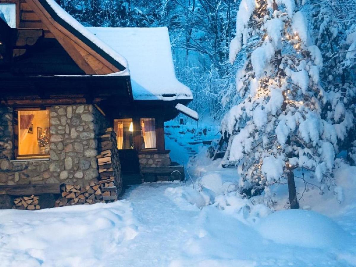 Apartament Jaworzyna Zakopane Zewnętrze zdjęcie