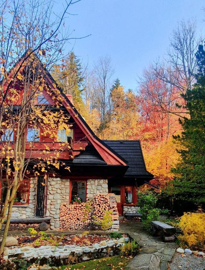 Apartament Jaworzyna Zakopane Zewnętrze zdjęcie