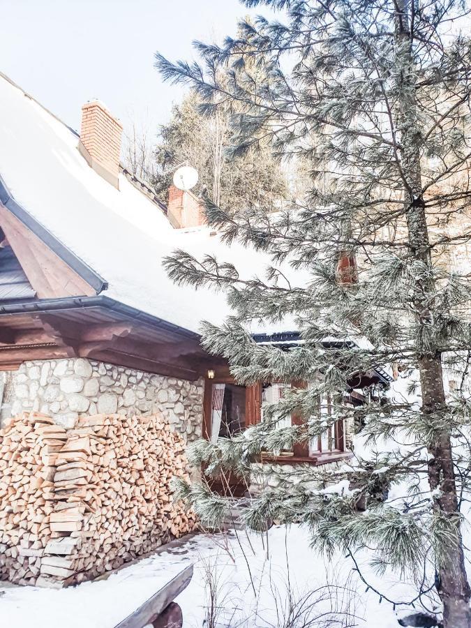 Apartament Jaworzyna Zakopane Zewnętrze zdjęcie